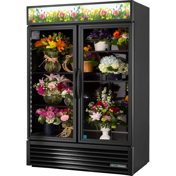 True GDM-49FC-HC~TSL01 — Glass-Door Merchandiser with 2 Doors, 54.12"W x 29.88"D